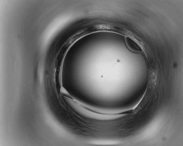 X0000098171151200805011008