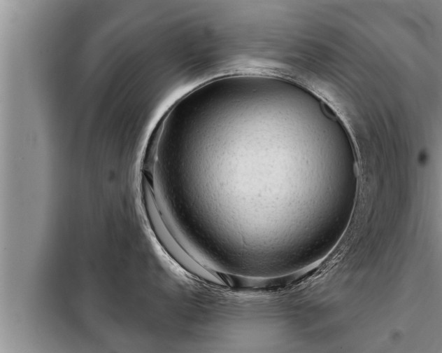 X0000098171152200805011008