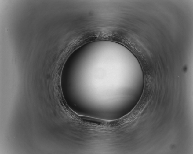 X0000098171153200805011007