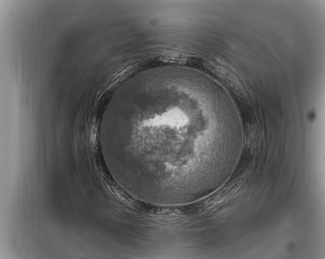 X0000098171154200805011007