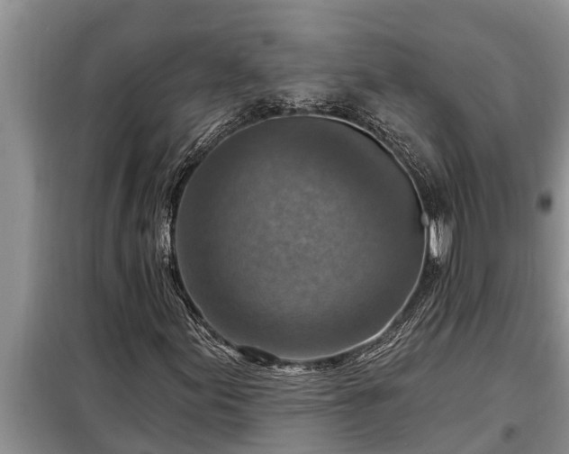 X0000098171155200805011007