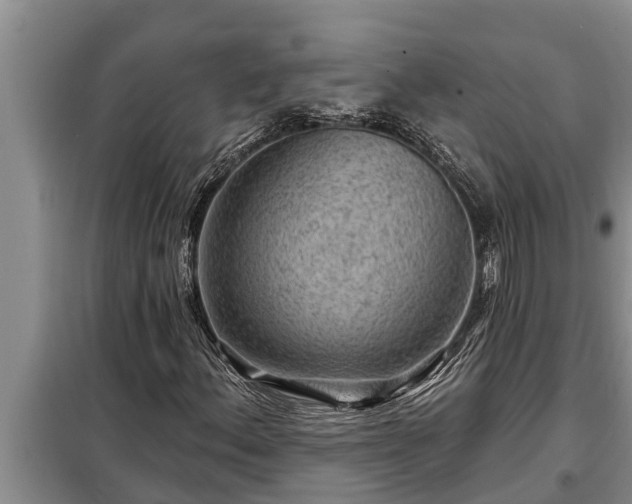 X0000098171156200805011007