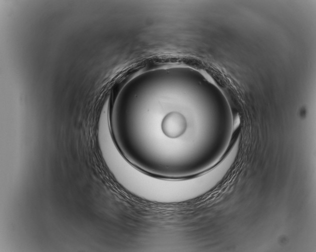 X0000098171157200805011007