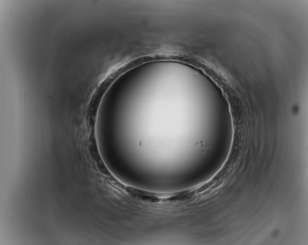 X0000098171160200805011007