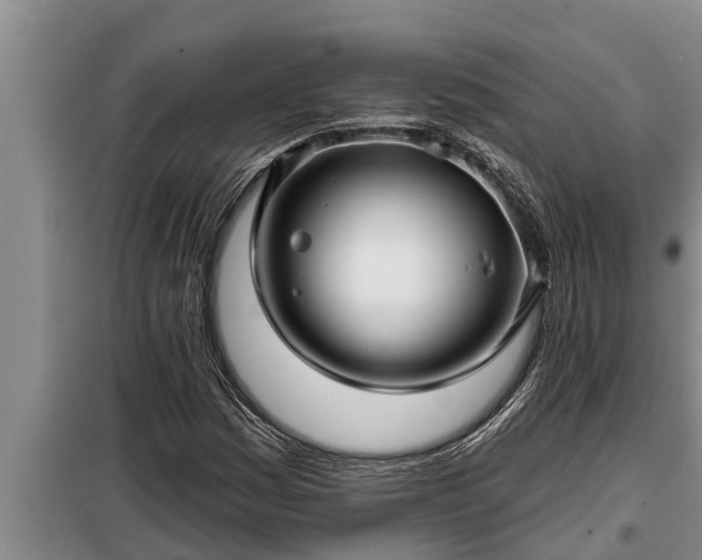 X0000098171161200805011007