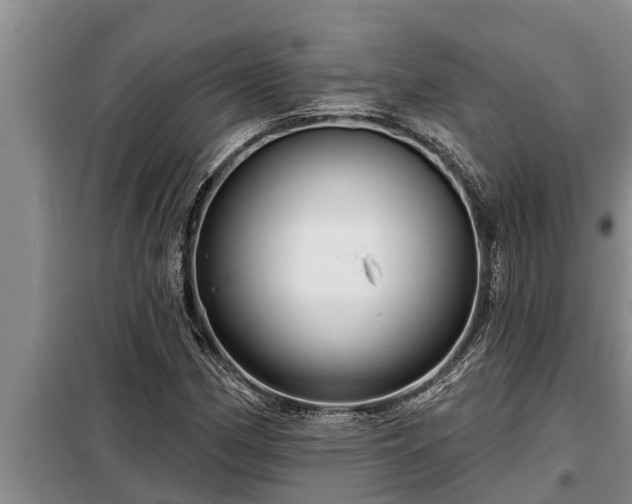 X0000098171162200805011007