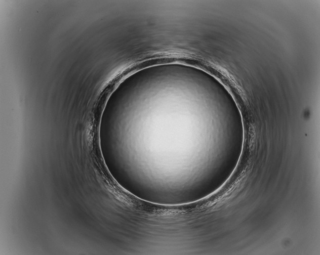 X0000098171163200805011007