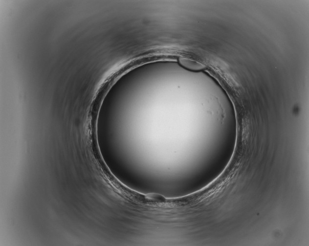 X0000098171164200805011007