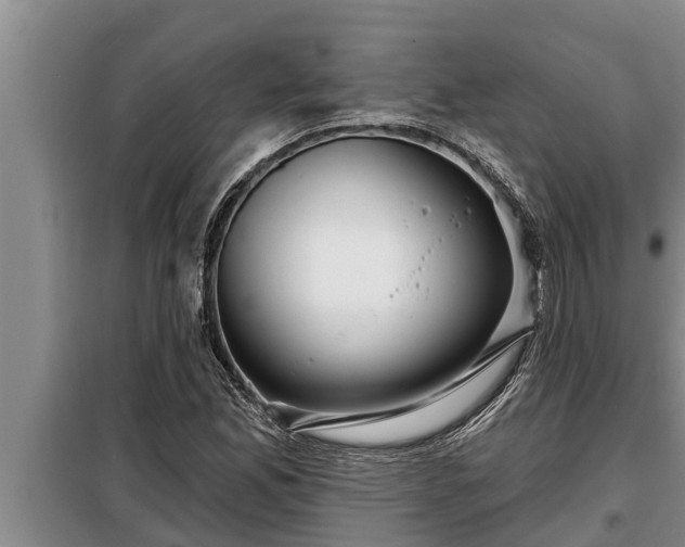 X0000098171165200805011007