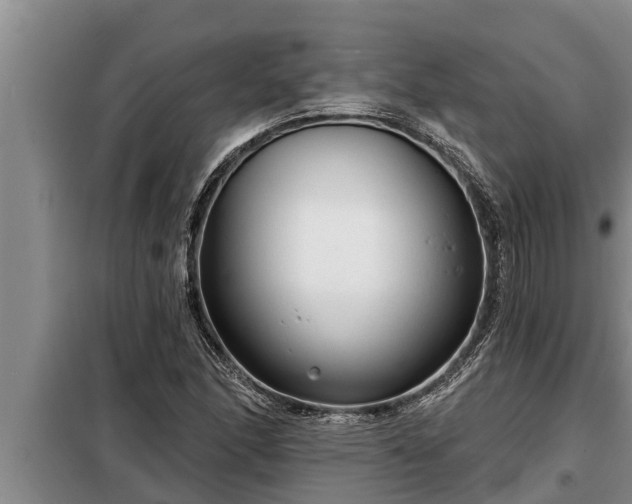 X0000098171166200805011007