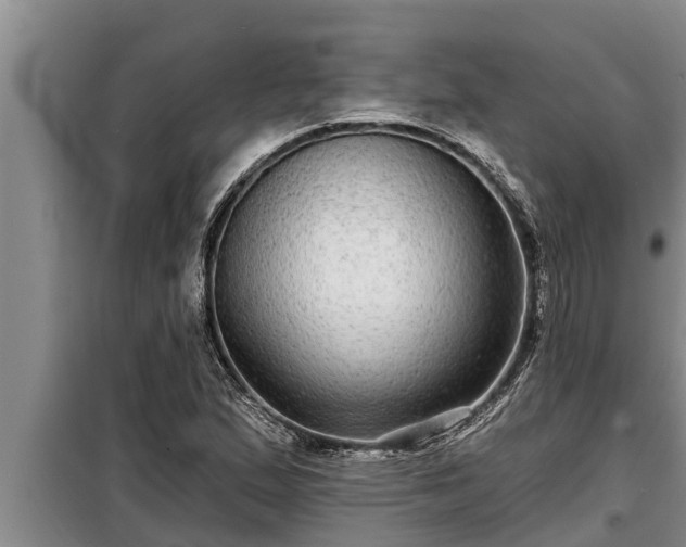 X0000098171167200805011007