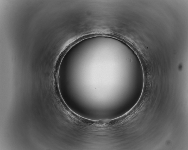 X0000098171168200805011007