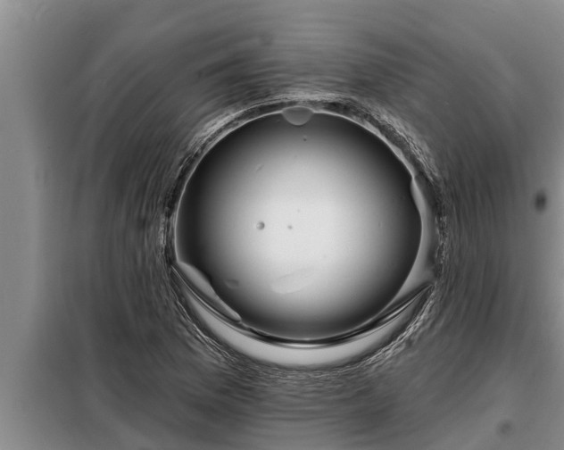 X0000098171169200805011007