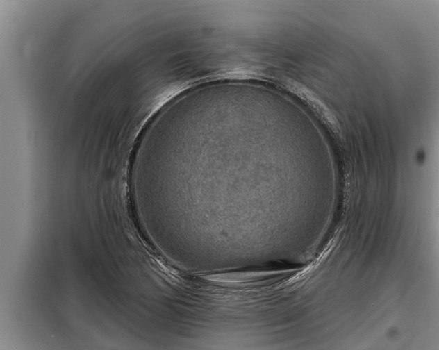 X0000098171170200805011007