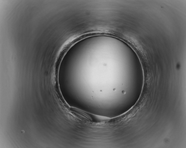 X0000098171172200805011007