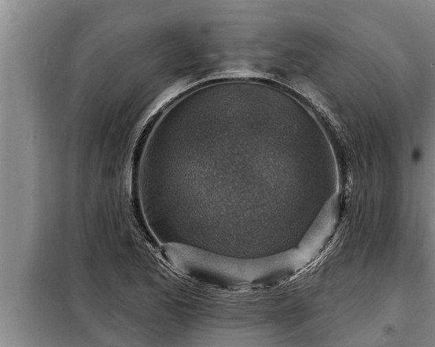 X0000098171173200805011007