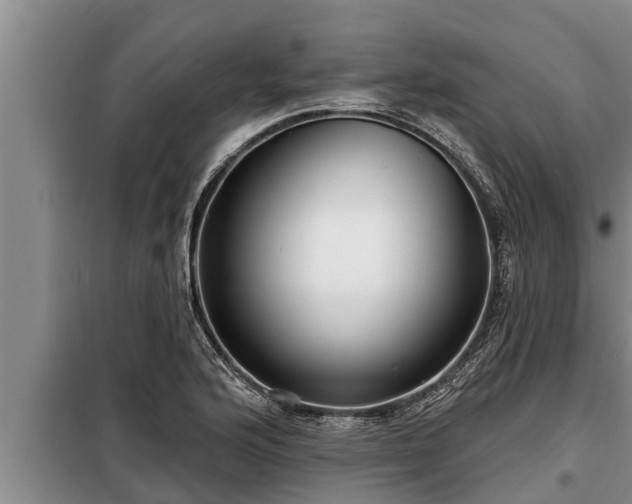 X0000098171176200805011007