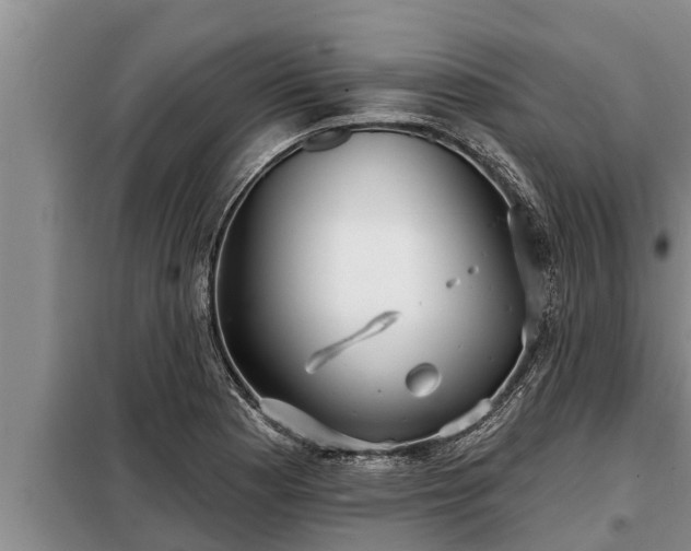 X0000098171177200805011007