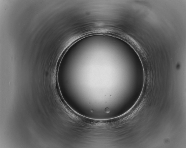 X0000098171178200805011007