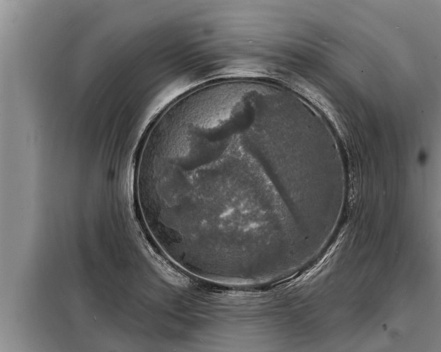 X0000098171179200805011007