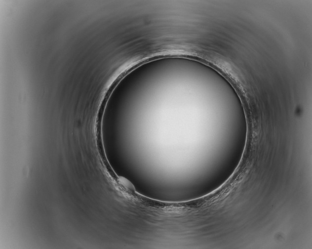 X0000098171181200805011007