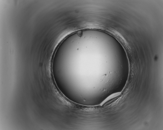 X0000098171182200805011007