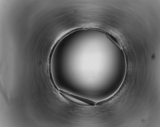 X0000098171184200805011007