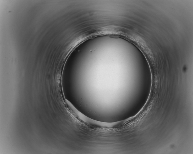 X0000098171185200805011006