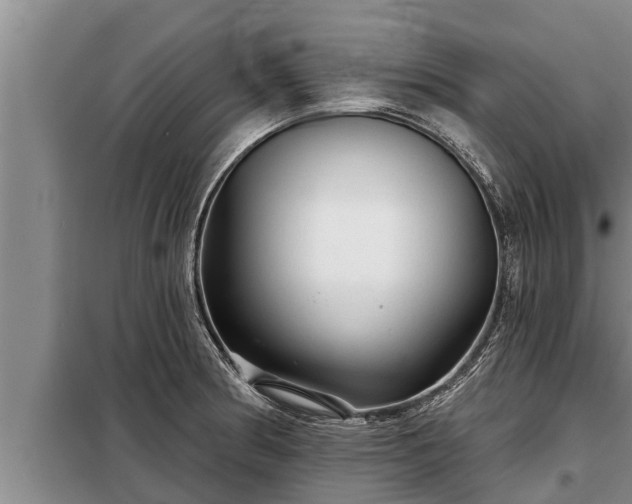 X0000098171186200805011006