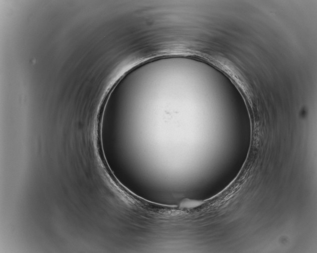 X0000098171187200805011006