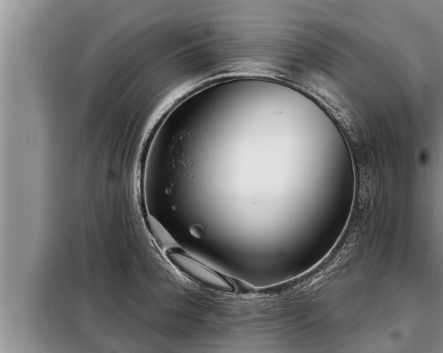 X0000098171188200805011006