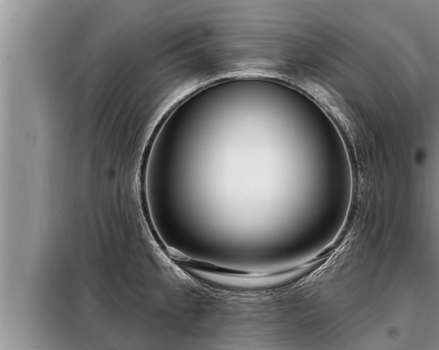 X0000098171189200805011006