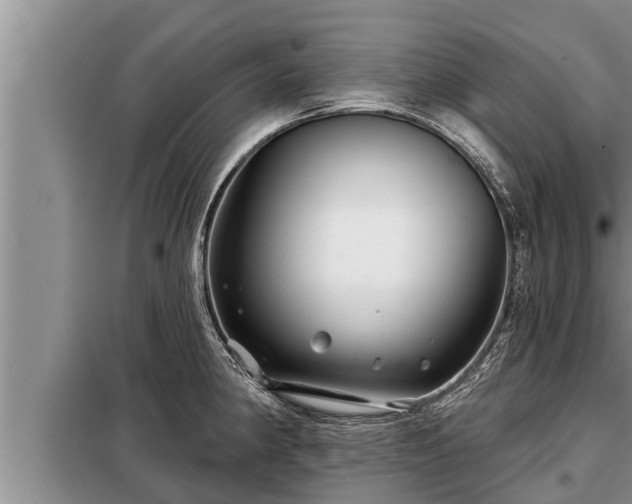 X0000098171190200805011006