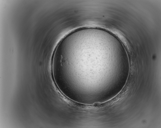 X0000098171191200805011006