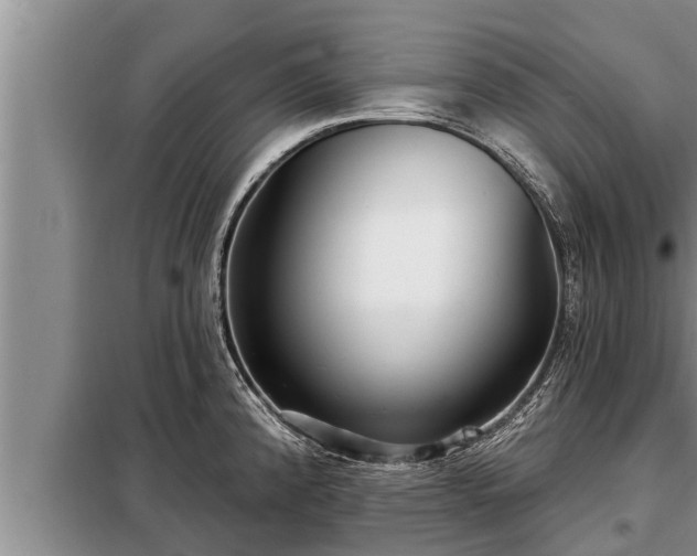 X0000098171192200805011006