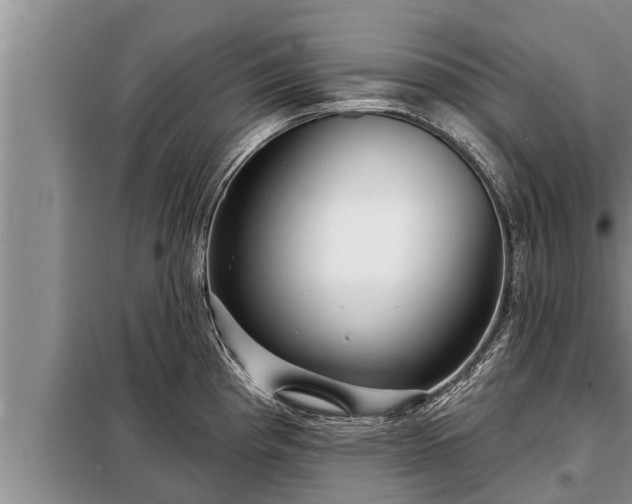 X0000098171193200805011006