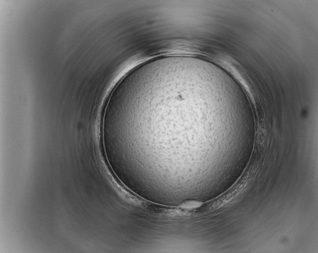 X0000098171195200805011006