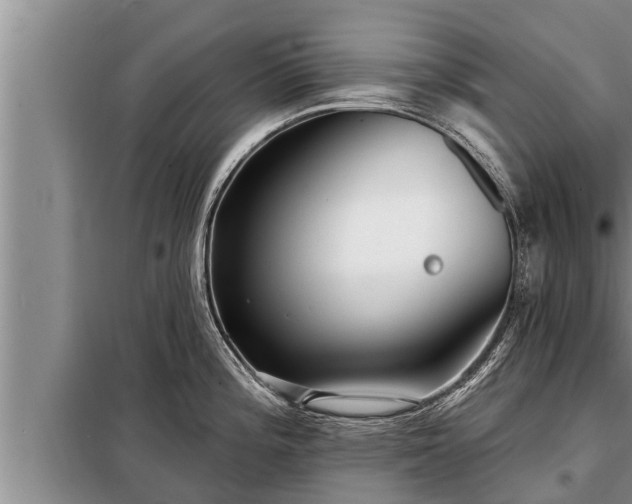 X0000098171196200805011006