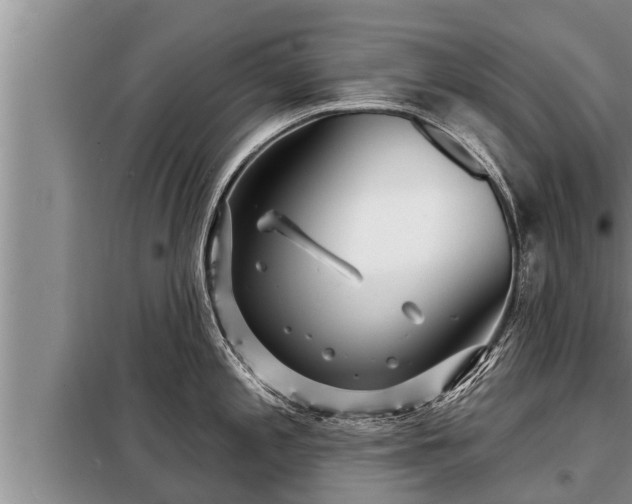 X0000098171197200805011006