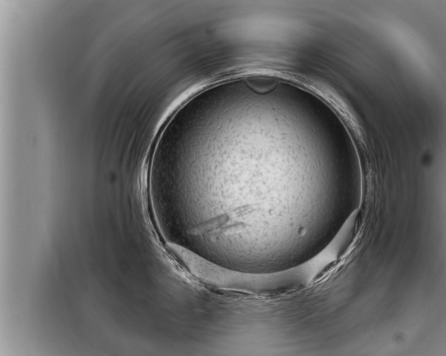 X0000098171198200805011006