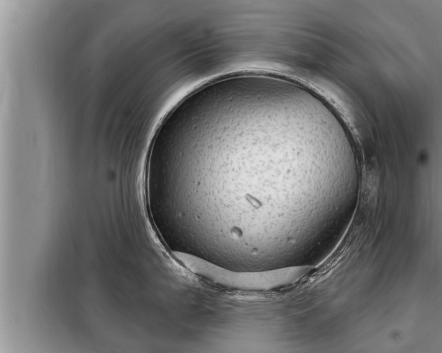 X0000098171199200805011006