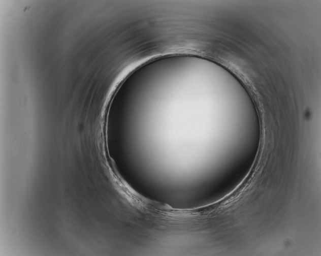 X0000098171200200805011006