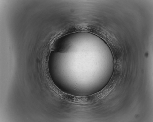 X0000098171201200805011006