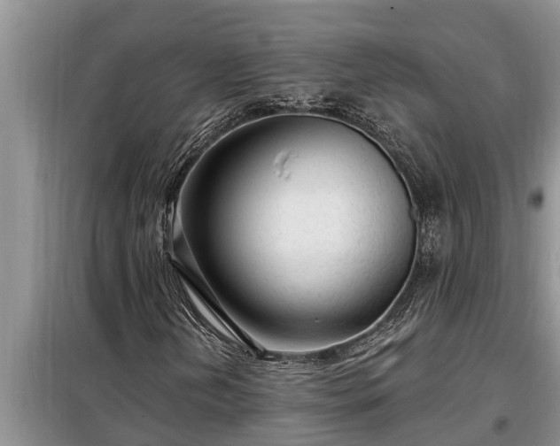 X0000098171202200805011006