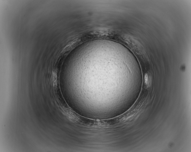 X0000098171203200805011006