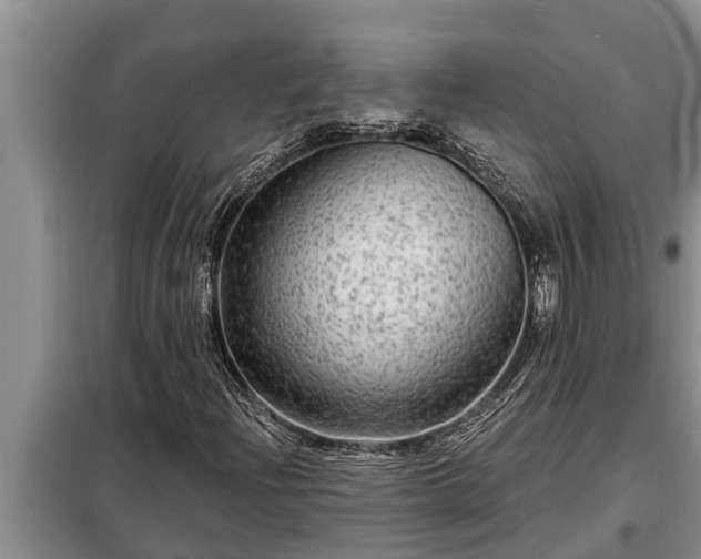 X0000098171204200805011006