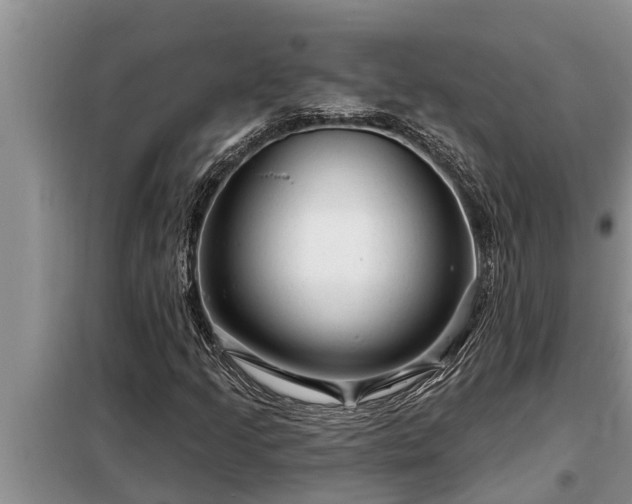 X0000098171205200805011006