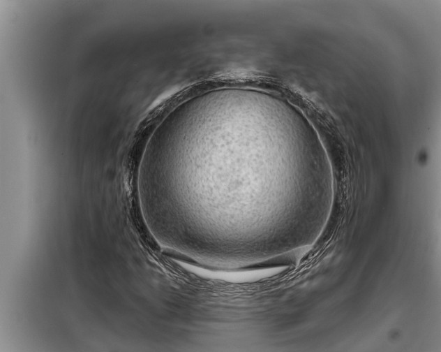 X0000098171206200805011006