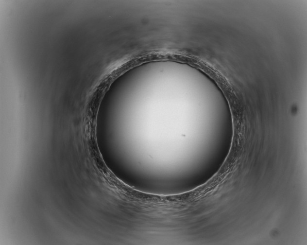 X0000098171207200805011006