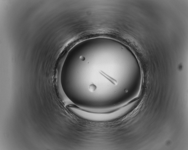 X0000098171210200805011006